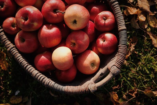 Pourquoi il ne faut pas manger de pomme le soir ?